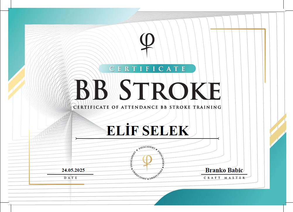 PhiAcademy BB Stroke (Nano Kıl Tekniği) Uzmanlığı
